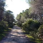 Rosanna House In Bombarde * Alghero