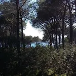 Rosanna House In Bombarde Lägenhet Alghero