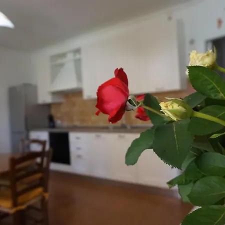 Apartamento Rosanna House In Bombarde Alghero