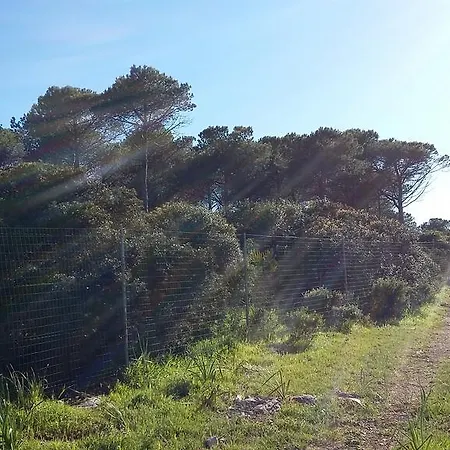 Rosanna House In Bombarde * Alghero