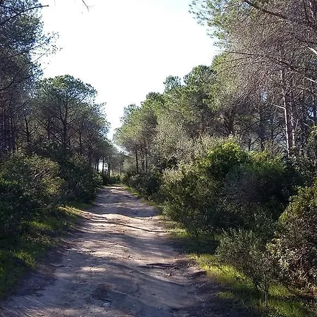 Rosanna House In Bombarde * Alghero