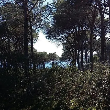 Rosanna House In Bombarde Apartamento Alghero