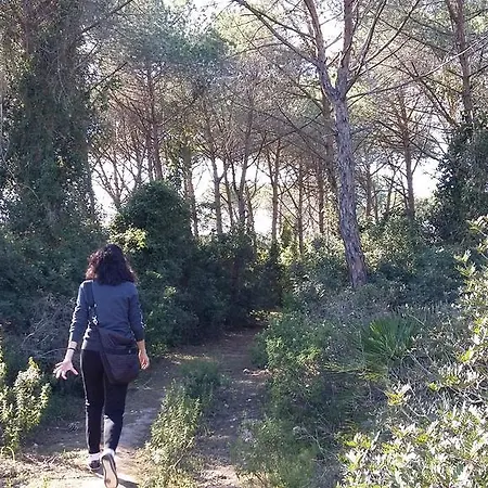 Apartamento Rosanna House In Bombarde Alghero