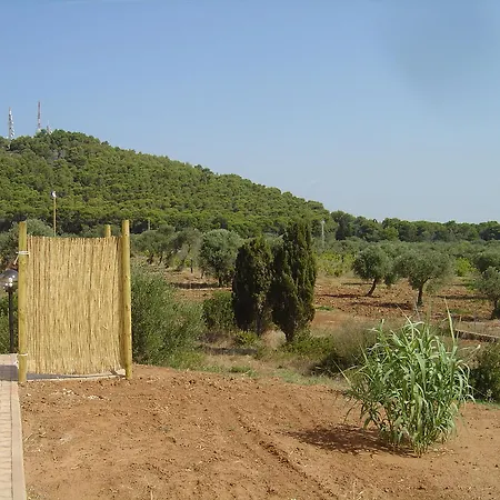 Rosanna House In Bombarde