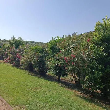 Rosanna House In Bombarde Lejlighed Alghero