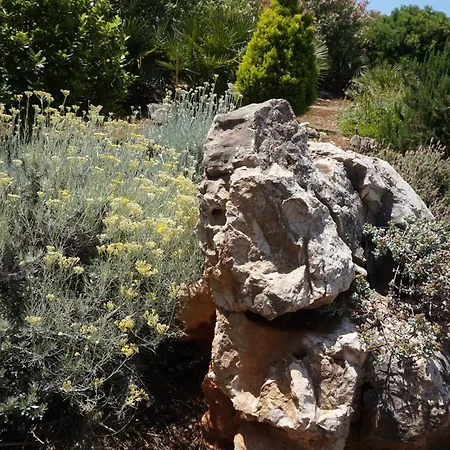 Rosanna House In Bombarde