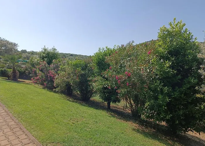 Rosanna House In Bombarde アパート アルゲーロ